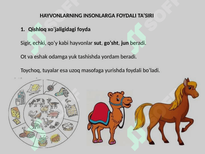 Hayvonot dunyosini inson hayotiga ta’siri 8