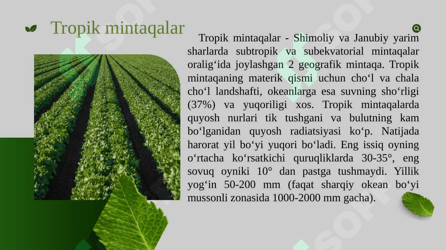 Oʻzbekistonda oʻstirilayotgan tropik va subtropik zonasi dorivor  oʻsimliklari roʻyxatini tuzish 2