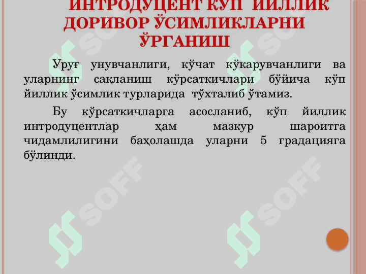 Интродуцент кўп йиллик доривор ўсимликларни ўрганиш 2