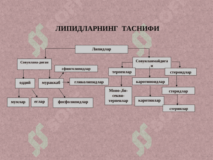 CОВУНЛАНАДИГАН ЛИПИДЛАР 5