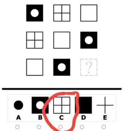ARGOST  iQ test 2025