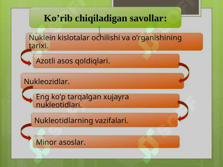 Nukleozidlar. Nukleotidlar 2