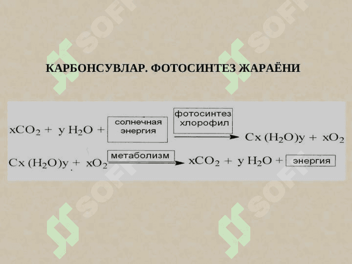 КАРБОНСУВЛАР. МОНОСАХАРИДЛАР 4