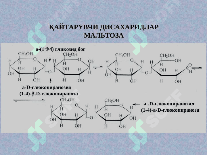 Ди- ВА ГОМОПОЛИСАXАРИДЛАР 5