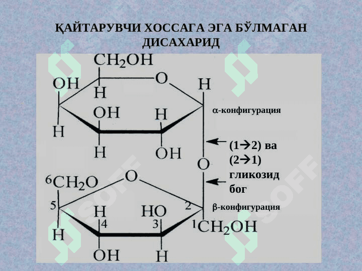 Ди- ВА ГОМОПОЛИСАXАРИДЛАР 8