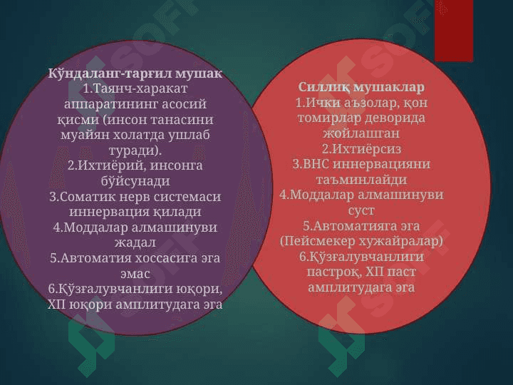 Мушак физиологияси 7