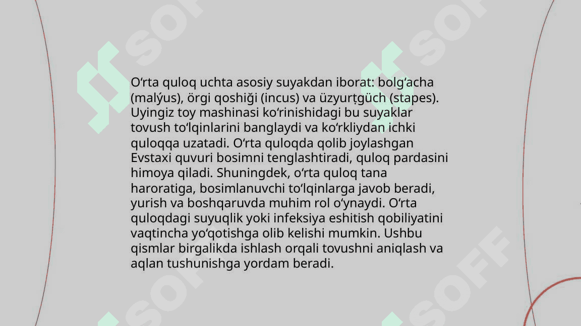 Tashqi quloq faoliyati. Tashqi quloq kasalliklari. O'rta quloq faoliyati,O'rta quloq kasalliklari Ichki quloq faoliyati Ichki quloq kasalliklari 8