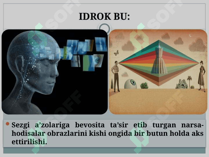Vaziyatni noto'g'ri idrok etish va uning oqibatlari 5