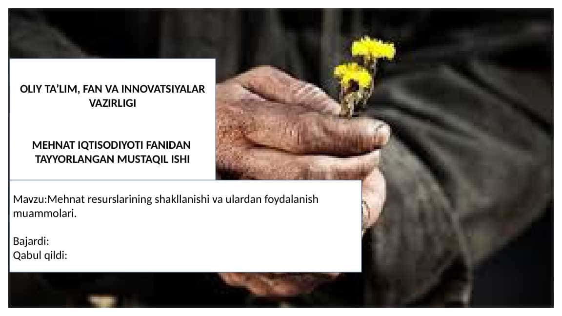 Mehnat resurslarining shakllanishi va ulardan foydalanish muammolari (SLAYD)