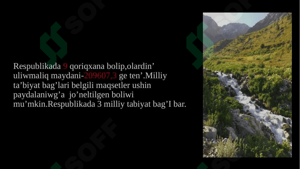 O’zbekstanda qorg’alatug’in ta’biyiy aymaqalar 4