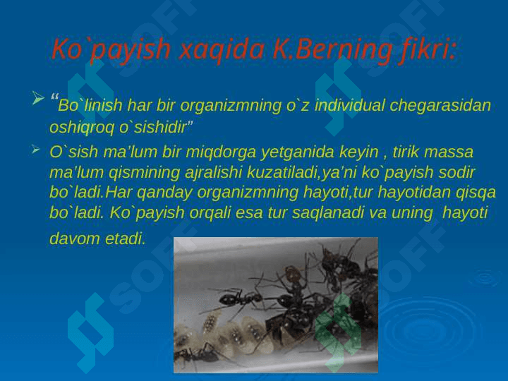 Ontogenez. Organizmlarning ko’payishi. Jinssiz ko’payish va uni xillari 3