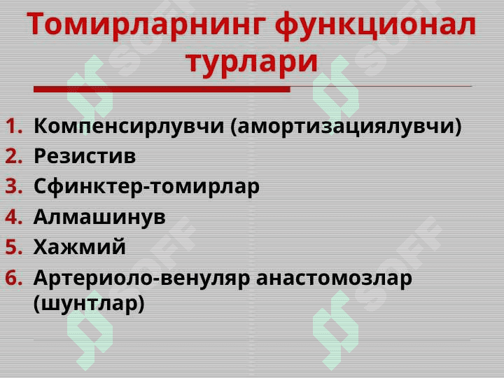 Periferik qоn аylanishining buzilishlari 6