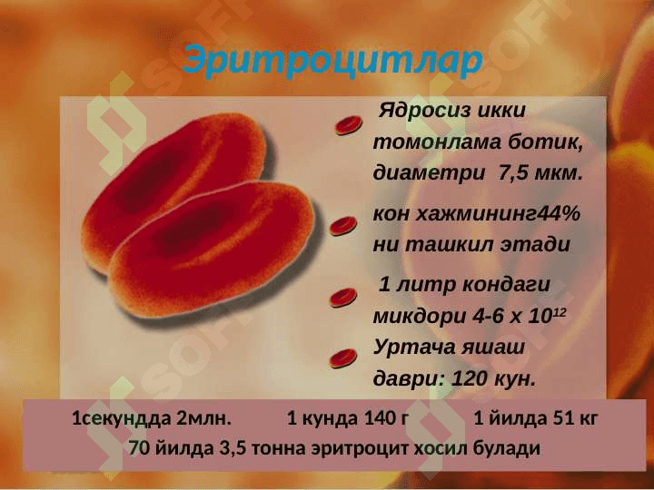 Anemiyalar Анемиялар 4