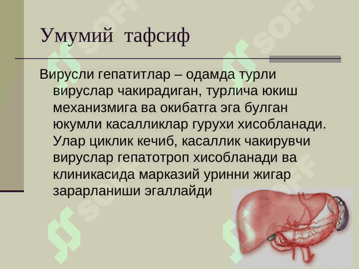 Вирусли гепатитлар 2