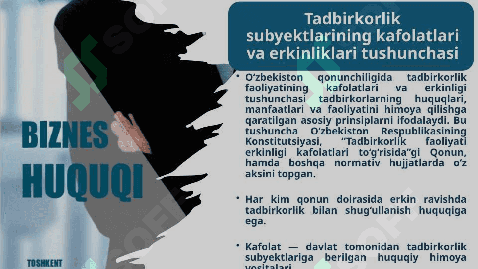 Tadbirkorlik subyekti kafolatlari va erkinliklar 3