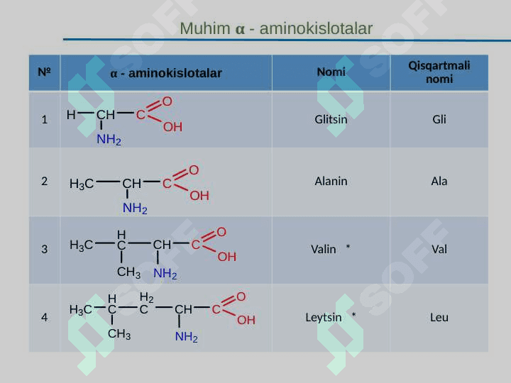 α-Aminokislotalar. Peptidlar va oqsillar, Nuklein kislotalar tuzilishi va funksiyalari 6