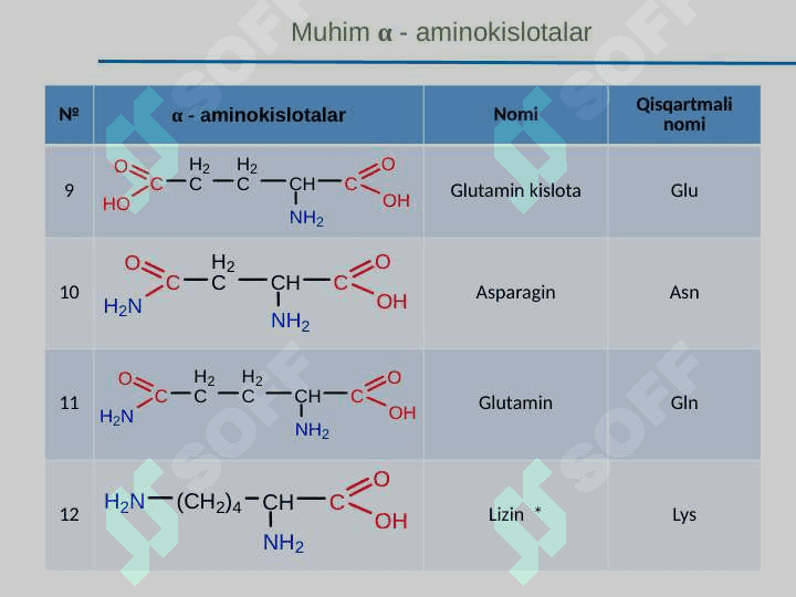 α-Aminokislotalar. Peptidlar va oqsillar, Nuklein kislotalar tuzilishi va funksiyalari 8