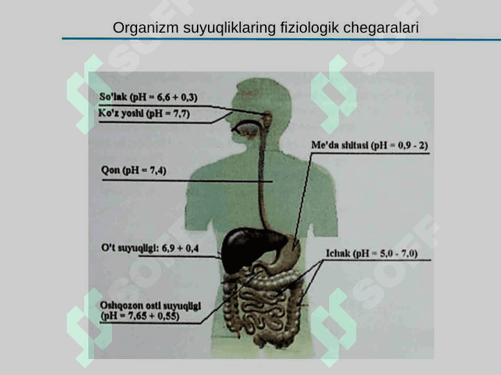 Kislota-asosli muvozanat. Bufer sistemalar. Kimyoviy termodinamika asoslari. Kompleks birikmalar. 5