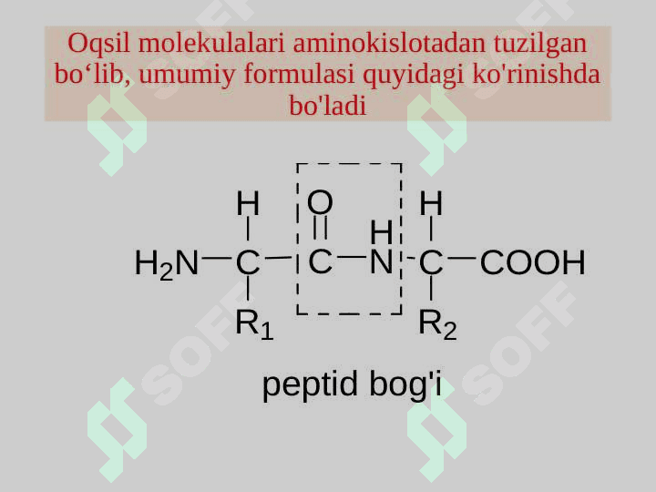 Peptidlar va oqsillar tuzilishi va xossalari 2