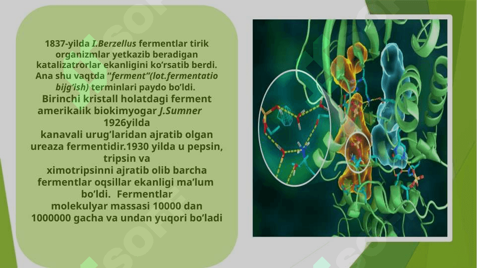 Fermentlar. Proteinopatiya 3