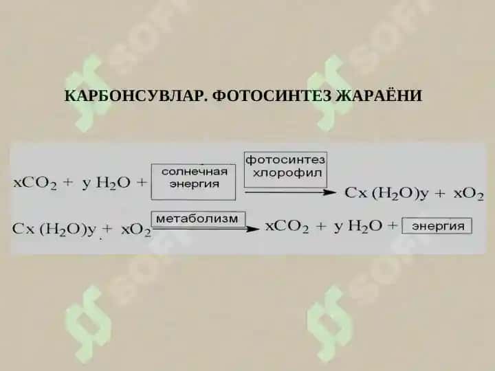 Karbonsuvlar. Monosaxaridlar 4