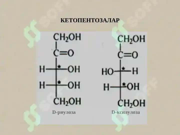 Karbonsuvlar. Monosaxaridlar 8