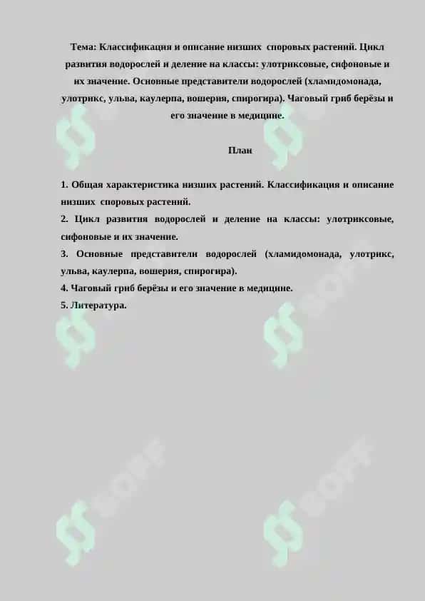 Классификация и описание низших  споровых растений. Цикл развития водорослей и деление на классы. Улотриксовые, сифоновые и их значение. Основные представители водорослей. Самостоятельная работа 40 листов. 2
