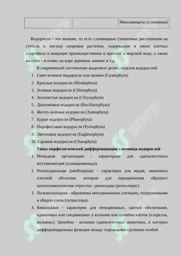 Классификация и описание низших  споровых растений. Цикл развития водорослей и деление на классы. Улотриксовые, сифоновые и их значение. Основные представители водорослей. Самостоятельная работа 40 листов. 4