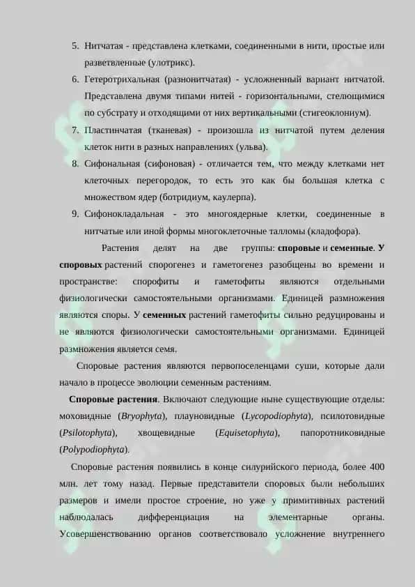 Классификация и описание низших  споровых растений. Цикл развития водорослей и деление на классы. Улотриксовые, сифоновые и их значение. Основные представители водорослей. Самостоятельная работа 40 листов. 5