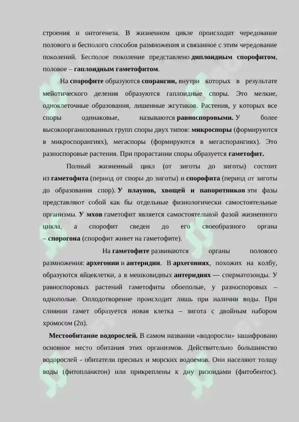 Классификация и описание низших  споровых растений. Цикл развития водорослей и деление на классы. Улотриксовые, сифоновые и их значение. Основные представители водорослей. Самостоятельная работа 40 листов. 6