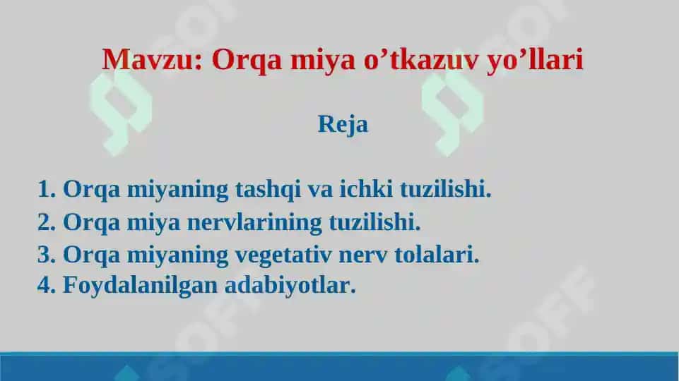Orqa miya o’tkazuv yo’llari. Taqdimot 19 bet. 2
