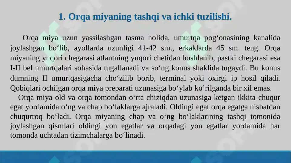 Orqa miya o’tkazuv yo’llari. Taqdimot 19 bet. 3