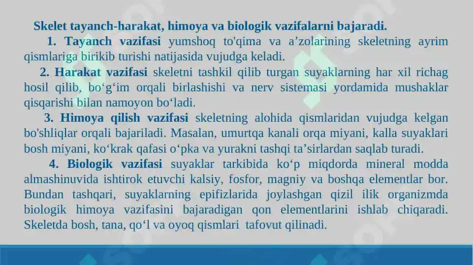 Skelet suyaklarining rentgenanatomiyasi,  skletning rivojlanish anomaliyalari. Taqdimot 16 bet 4