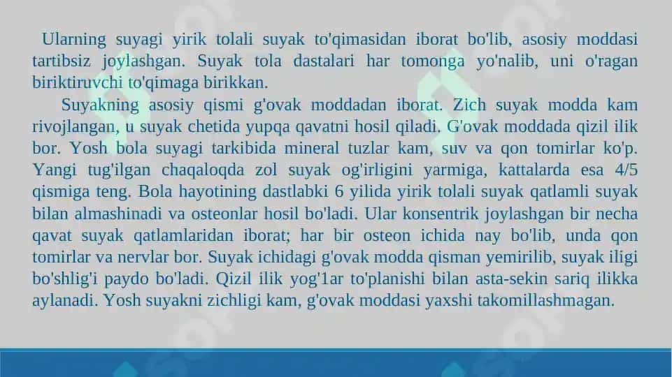 Skelet suyaklarining rentgenanatomiyasi,  skletning rivojlanish anomaliyalari. Taqdimot 16 bet 7