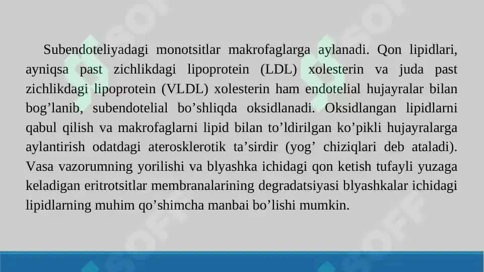 Aterosklerozning kelib chiqish mexanizmi. Taqdimot 16 bet. 8