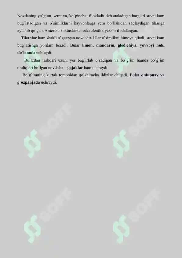 Ildiz, poya va barg metamorfozi. Referat 6 bet. 4