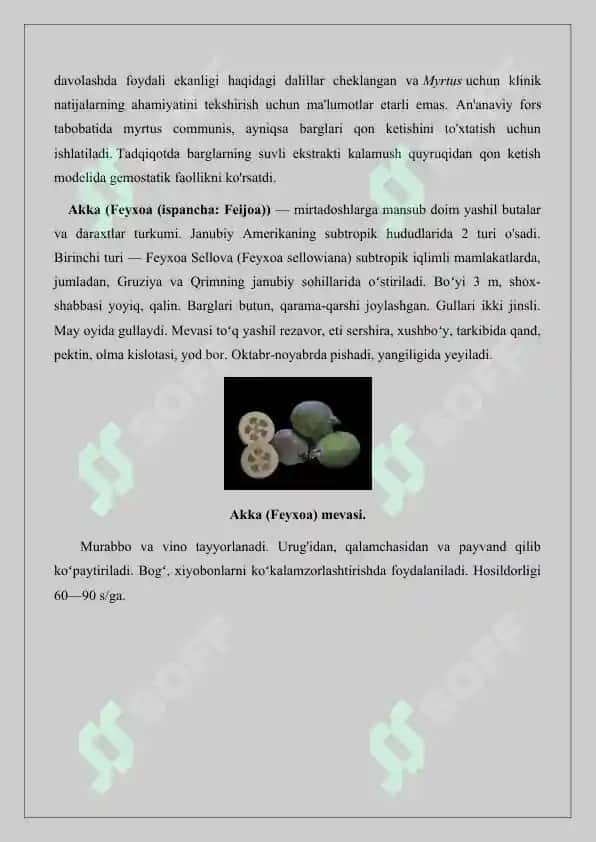 Mirtanamolar qabilasi, oilalari, tavsifi va asosiy turlari. Referat 16 bet. 7