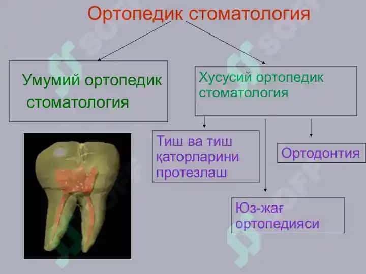 Ortopedik stomatologiya fani va uning vazifalari 6