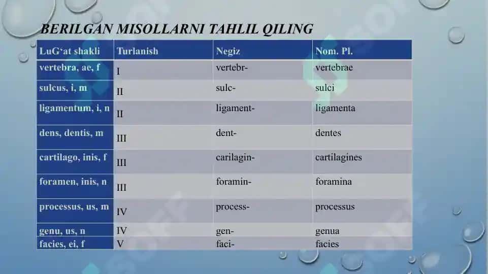 I-V turlanishdagi otlarning va I-III turlanishdagi sifatlarning Bosh kelishik ko‘plik (Nominativus pluralis) qo‘shimchalari. IV va V turlanishdagi otlarning va I-III turlanishdagi sifatlarning qaratqich kelishik ko’plik (Genetivus pluralis) qo’shimchalari. 3