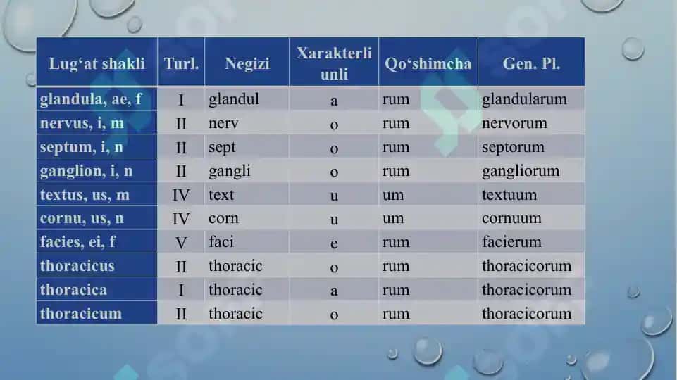 I-V turlanishdagi otlarning va I-III turlanishdagi sifatlarning Bosh kelishik ko‘plik (Nominativus pluralis) qo‘shimchalari. IV va V turlanishdagi otlarning va I-III turlanishdagi sifatlarning qaratqich kelishik ko’plik (Genetivus pluralis) qo’shimchalari. 7