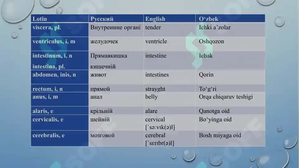 I-V turlanishdagi otlarning va I-III turlanishdagi sifatlarning Bosh kelishik ko‘plik (Nominativus pluralis) qo‘shimchalari. IV va V turlanishdagi otlarning va I-III turlanishdagi sifatlarning qaratqich kelishik ko’plik (Genetivus pluralis) qo’shimchalari. 8