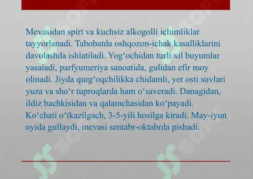 Jiydanamolar oilas 6