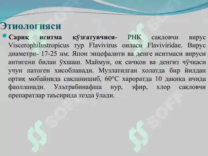 Сариқ иситма 3