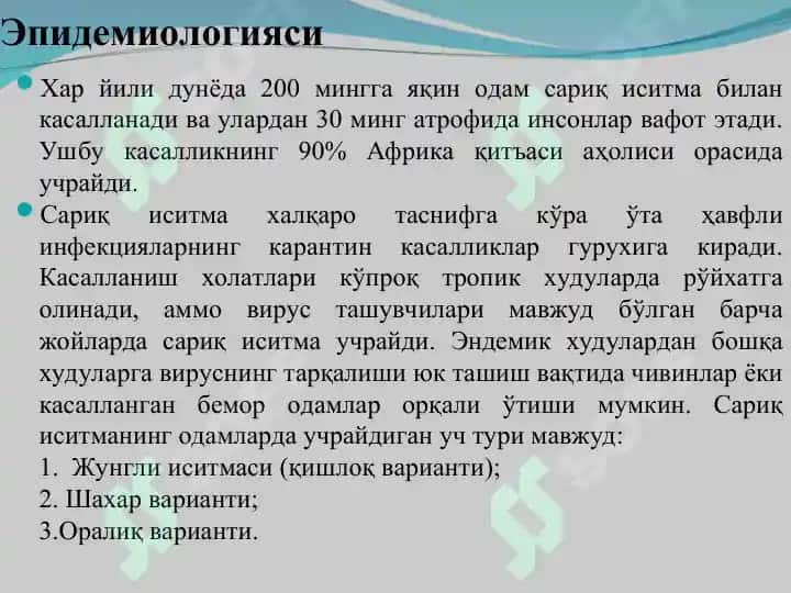 Сариқ иситма 4