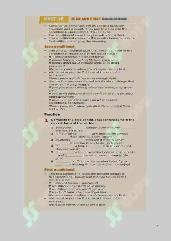IF CLAUSES LESSON PLAN 4