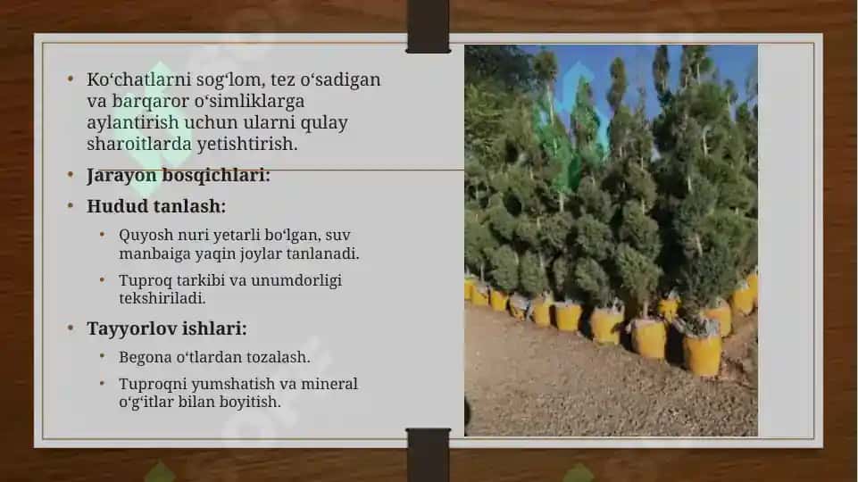 Ko‘chatlar kavlash va standartlar 3