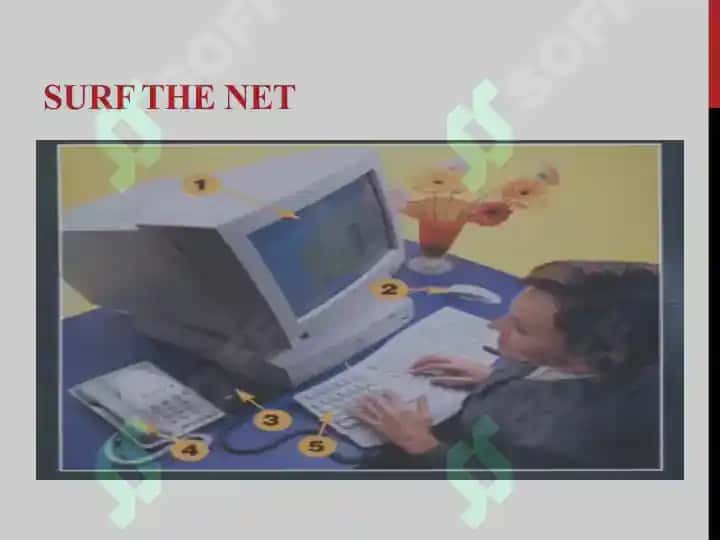 Surf the net 2