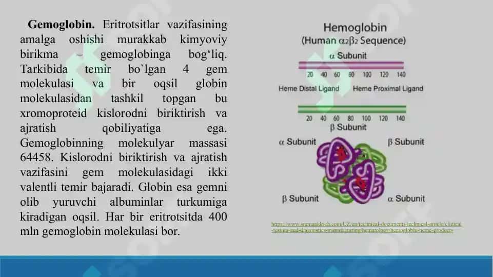 Eritrotsitlar fiziologiyasi. Gemoglobin. Laboratoriya mashg’uloti taqdimoti 23 bet. 8
