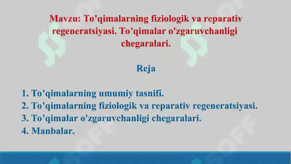 To'qimalarning fiziologik va reparativ regeneratsiyasi. To'qimalar o'zgaruvchanligi chegaralari. Taqdimot, 13 bet. 2