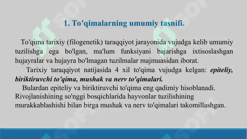 To'qimalarning fiziologik va reparativ regeneratsiyasi. To'qimalar o'zgaruvchanligi chegaralari. Taqdimot, 13 bet. 3